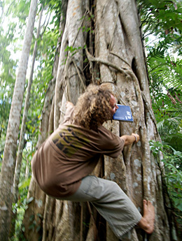 GöTe in Cairns