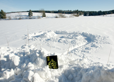 Buntenbock im Winter