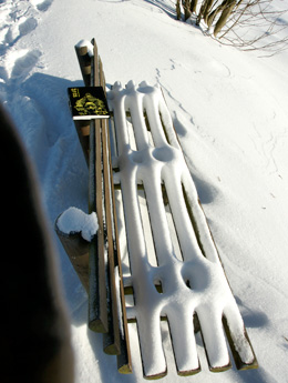 Buntenbock im Winter