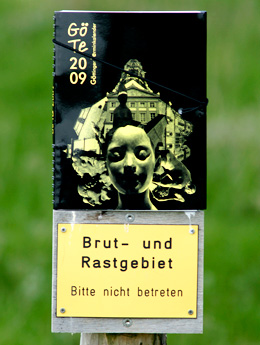 Westerheversand Brut- und Rastgebiet